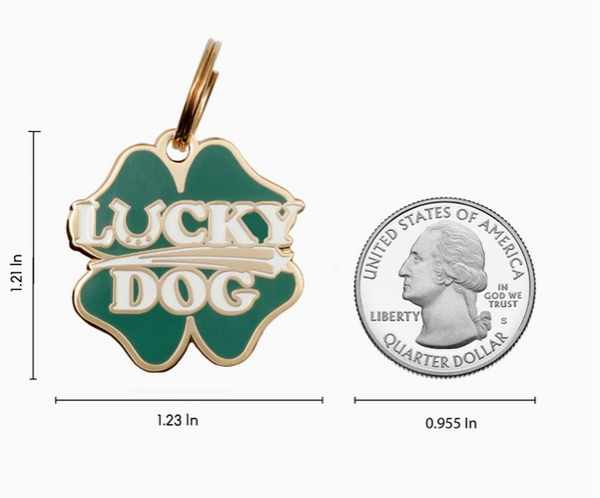 Lucky Dog Pet Collar Tag