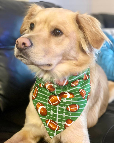 footballs on green dog bandana