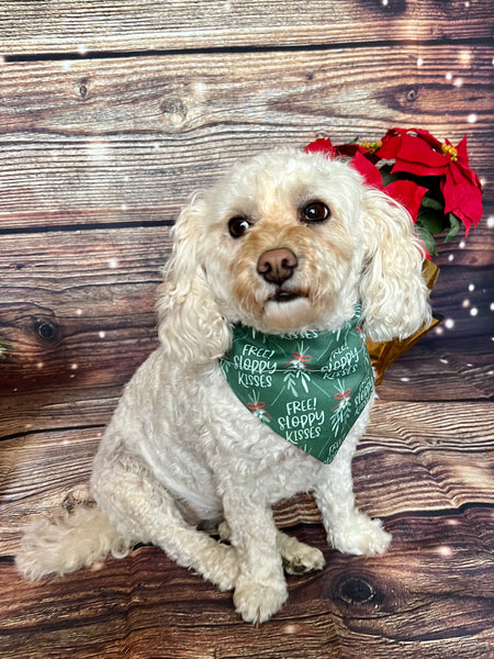 poodle mix wearing christmas dog bandana