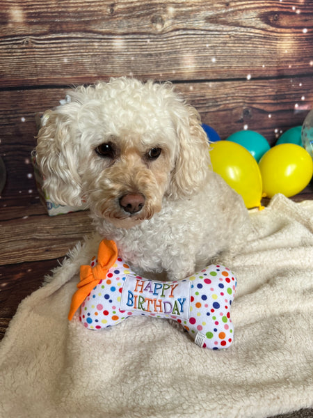 poodle mix playing with Happy Birthday Bone Plush Toy