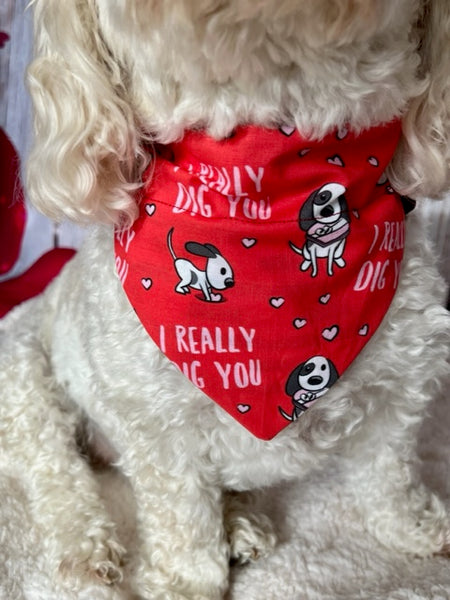 cute poodle mix wearing red Valentine's Day bandana.