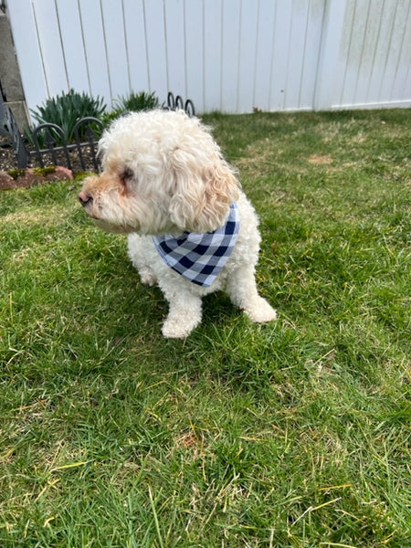 Reversible Ball is Life Dog Bandana