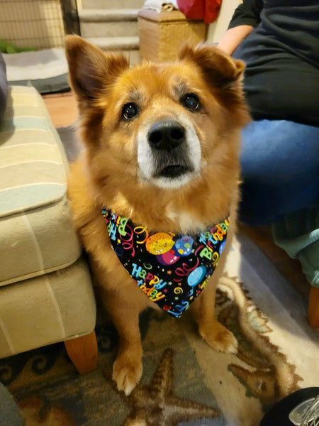 Reversible Black Happy Birthday Bandana