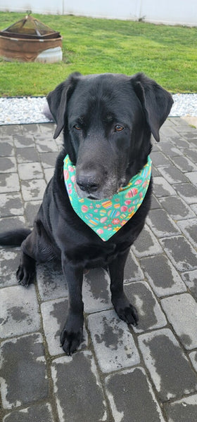 black lab wearing Easter pastel green dog bandana with colorful eggs and Spring flowers