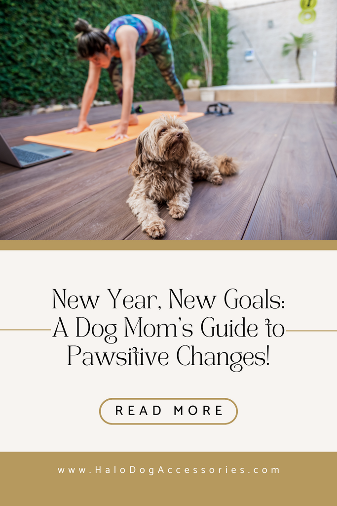 New Year, New Goals: A Dog Mom's Guide to Pawsitive Changes!