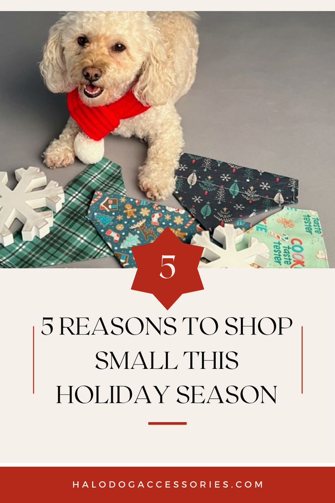 5 Reasons to Shop Small this Holiday Season