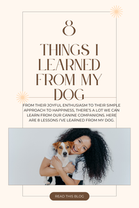 8 Things I Learned From My Dog