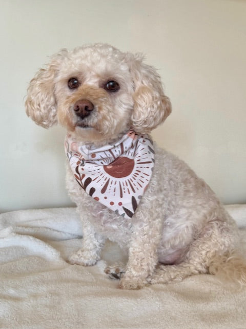 Small dog wearing a boho bandana sitting on a bed