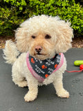 Reversible Best Friend Dog Bandana