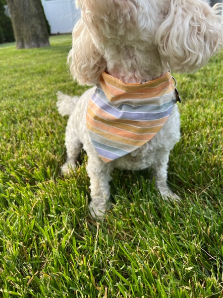 Reversible Beach Vibes Dog Bandana