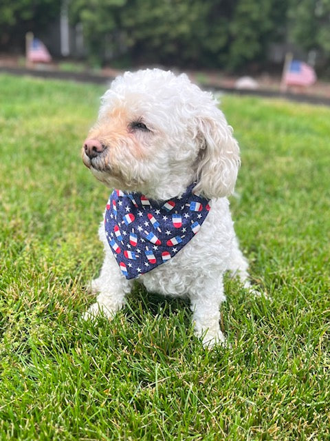 Reversible Fireworks Dog Bandana (Limited Sizes)