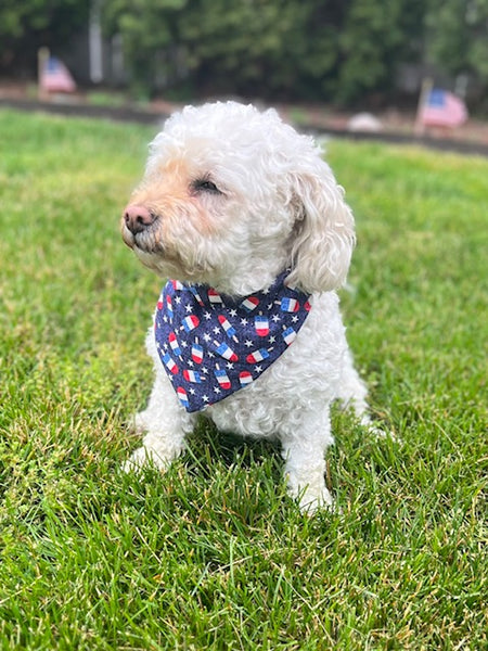 Reversible Fireworks Dog Bandana