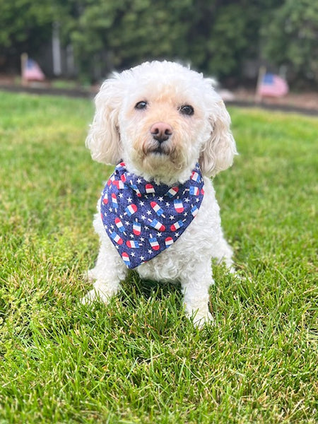 Reversible Fireworks Dog Bandana