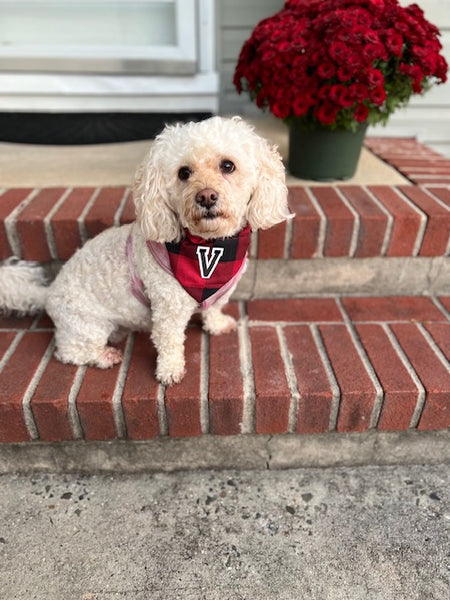 Red Buffalo Plaid Dog Bandana