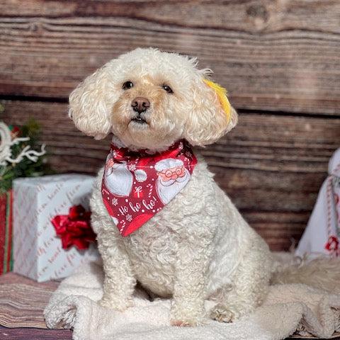 St. Nick Dog Bandana