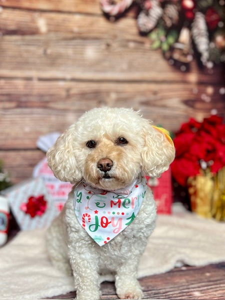 Reversible Holly Jolly Dog Bandana