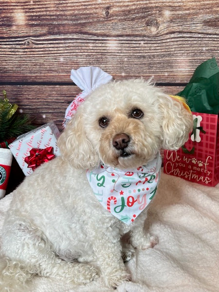 Reversible Holly Jolly Dog Bandana