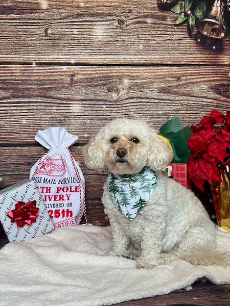 Winter Green Dog Bandana