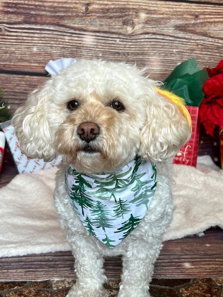 Winter Green Dog Bandana