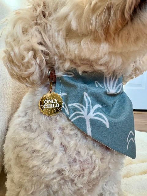 only child dog collar charm on poodle mix wearing beach boho bandana