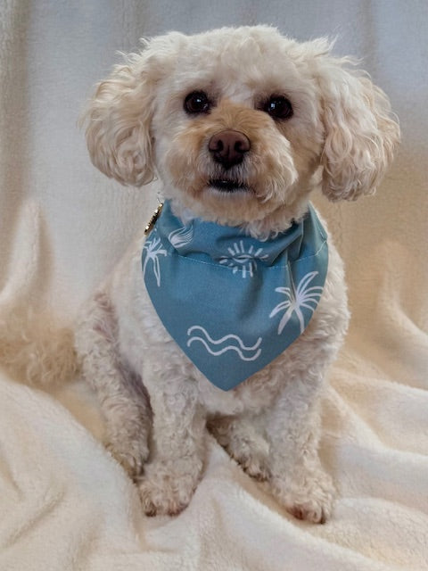 Paws & Palms Boho Dog Bandana