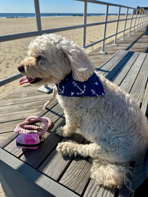 Sailor Stripes Dog Bandana