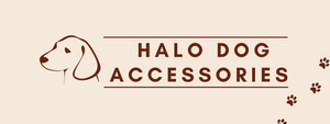Halo Dog Accessories