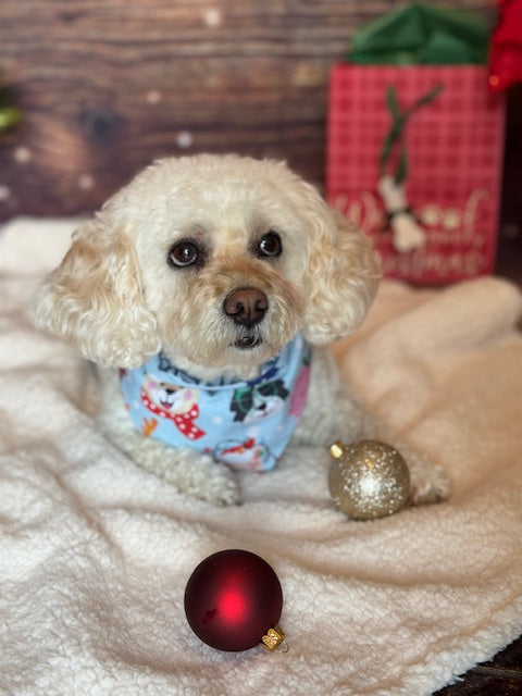 Small dog wearing a festive bandana with Christmas ornaments on a soft surface.