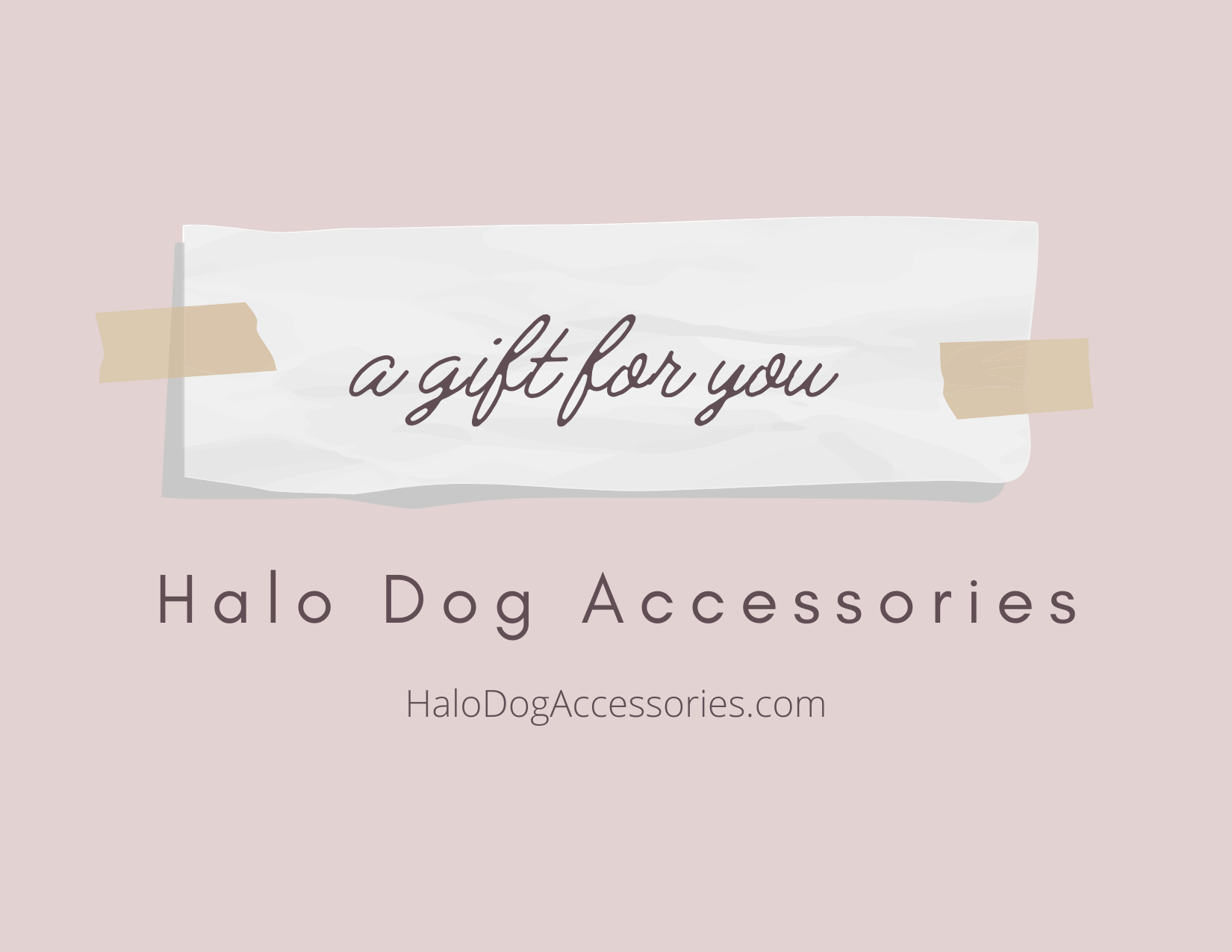 Halo on sale dog products