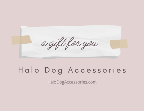 Halo Dog Accessories Gift Card