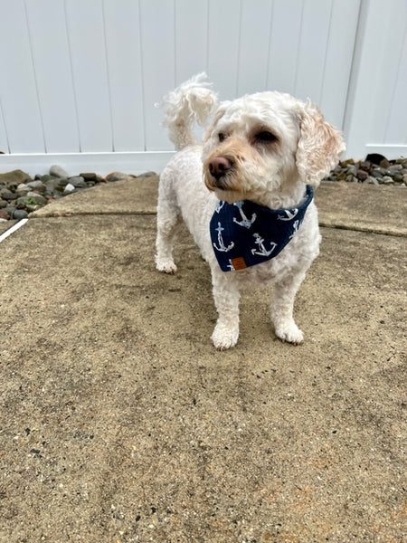 Nautical Blue Dog Bandana