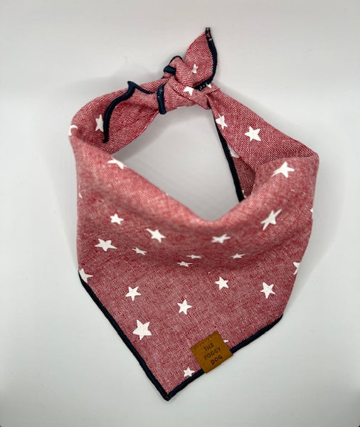 Lucky Stars Dog Bandana