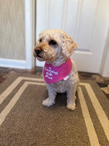 Mean Girls Pink Bandana