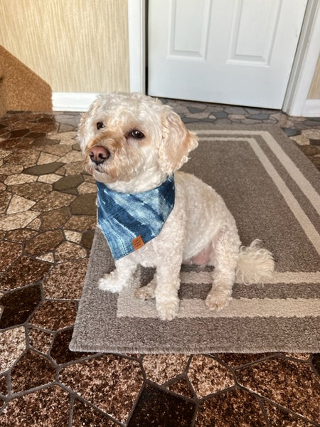 Indigo Dog Bandana