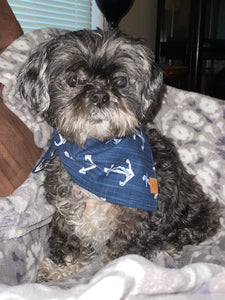 Nautical Blue Dog Bandana