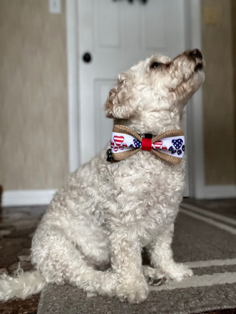 patriotic dog bow tie