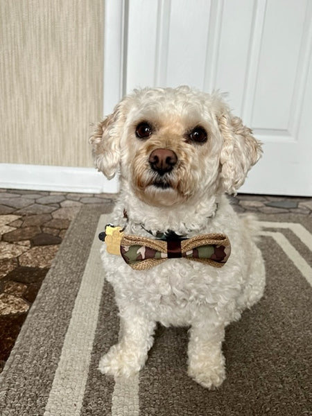 Camouflage Dog Bow Tie