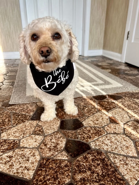 The Bébé  Dog Bandana