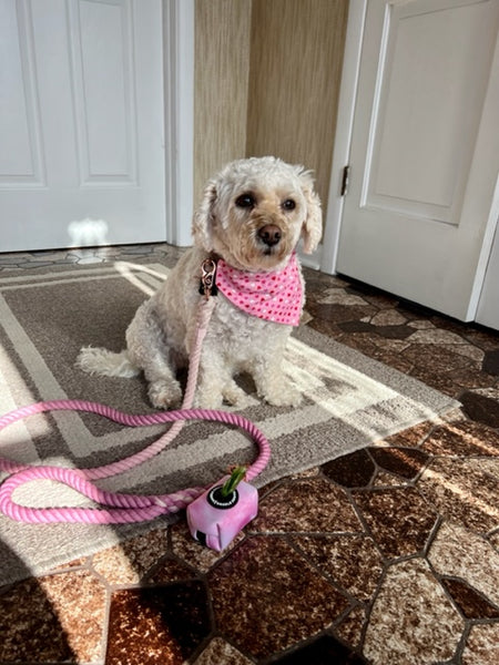 Woofstock Tie Dye Waste Bag Holder