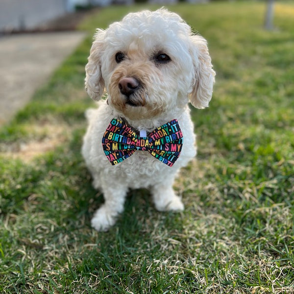 Birthday Bow Tie