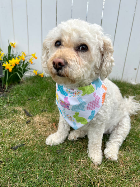 poodle mix wearing spring easter dog bandana