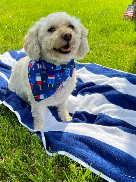 Patriot Popsicles Dog Bandana