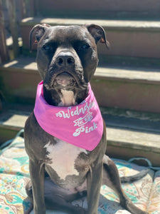 Mean Girls Pink Bandana