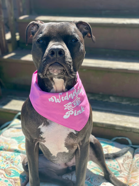 Mean Girls Pink Bandana