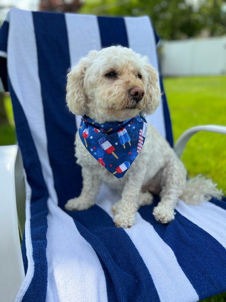 Patriot Popsicles Dog Bandana