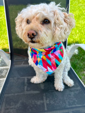 Kaleidoscope Dog Bandana