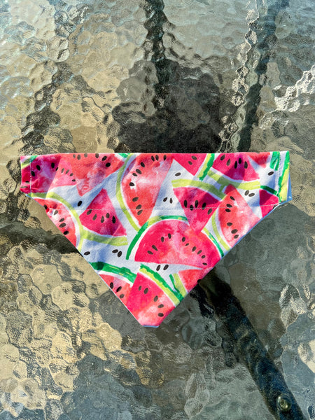 Watermelon Dog Bandana