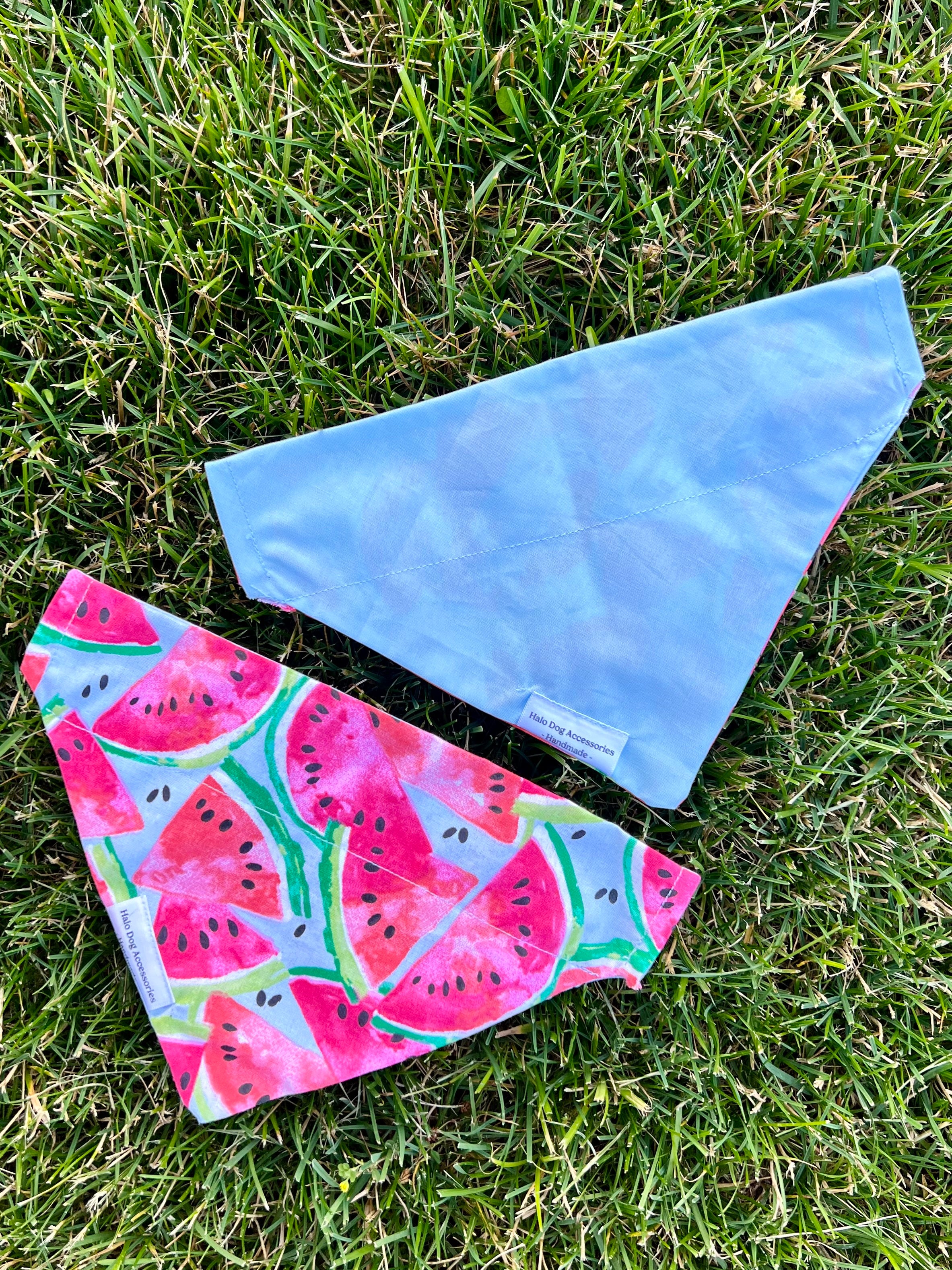 Watermelon Dog Bandana
