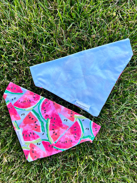 Watermelon Dog Bandana
