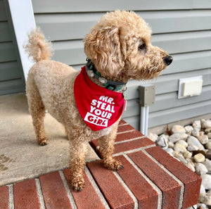 Mr. Steal Your Girl Dog Bandana